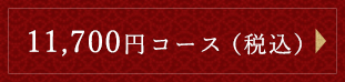10,000円コース（税別）