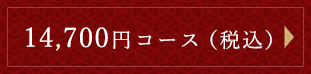 13,000円コース（税別）