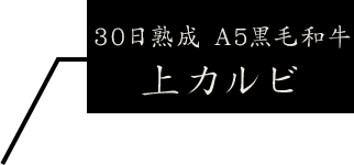 熟成黒毛和牛上カルビ