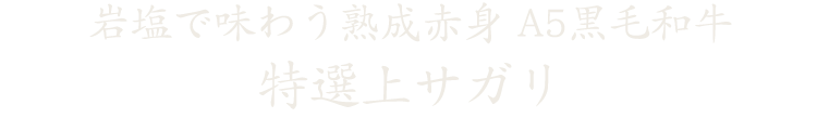 岩塩で味わう赤身特選上サガリ